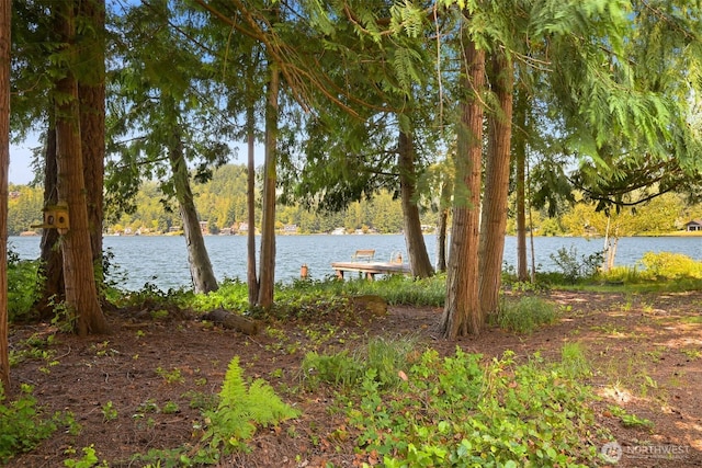 31693187 Agate Bay Ln, Bellingham, WA 98226 - photo 39