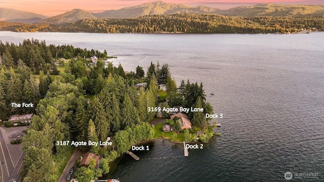 31693187 Agate Bay Ln, Bellingham, WA 98226 - photo 3