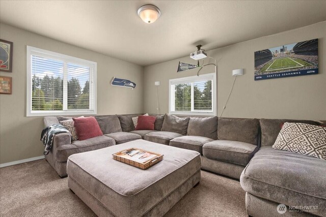 1415 Slightly Rd, Toutle, WA 98649 - photo 22
