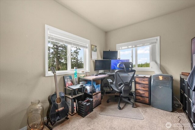 1415 Slightly Rd, Toutle, WA 98649 - photo 24