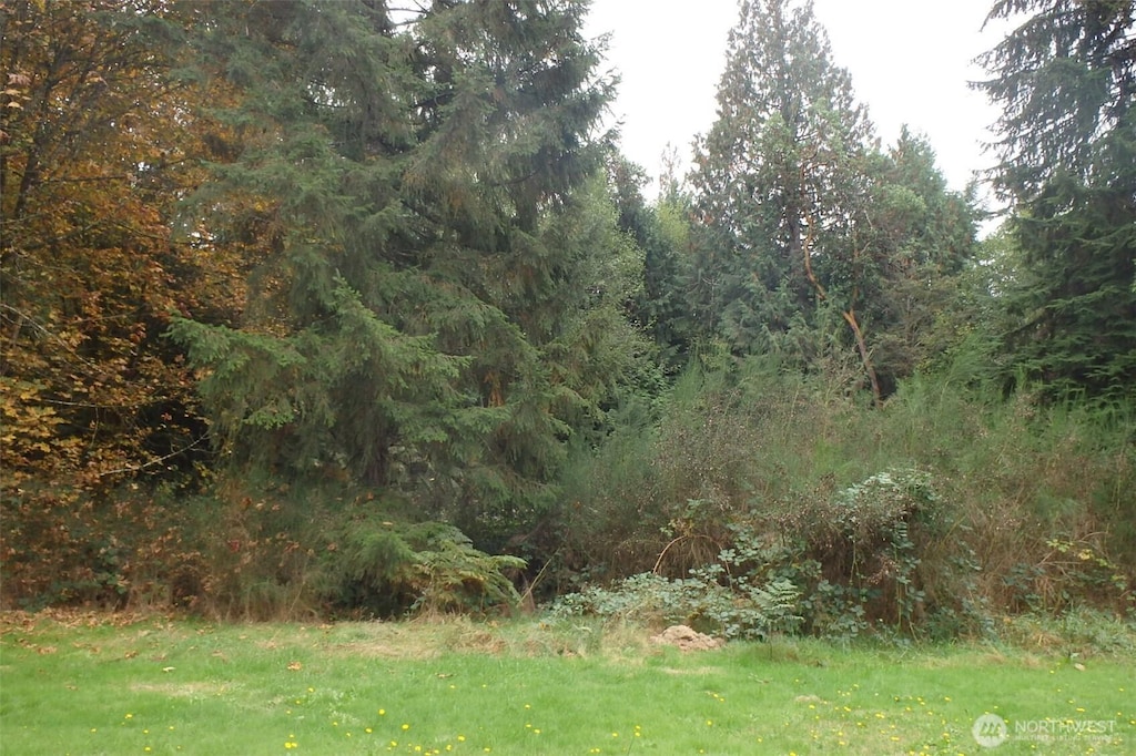 3912 183rd Avenue Ct SW, Longbranch, WA 98351 - photo 1