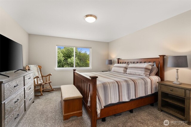 930 Torrisdale Ave SW, Ocean Shores, WA 98569 - photo 19