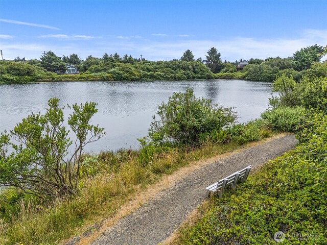 930 Torrisdale Ave SW, Ocean Shores, WA 98569 - photo 38