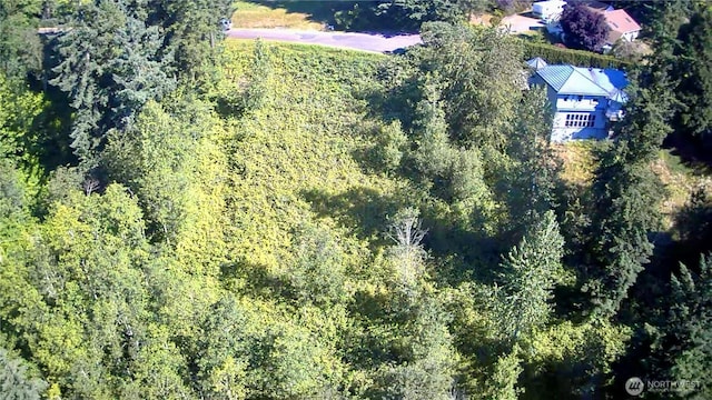 27435 SE 402nd St, Enumclaw, WA 98022 - photo 5