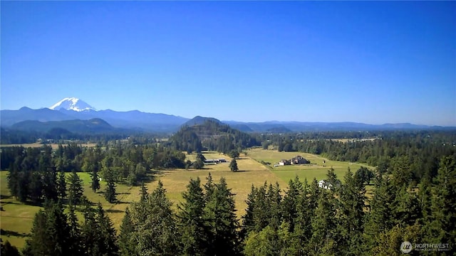 27435 SE 402nd St, Enumclaw, WA 98022 - photo 3