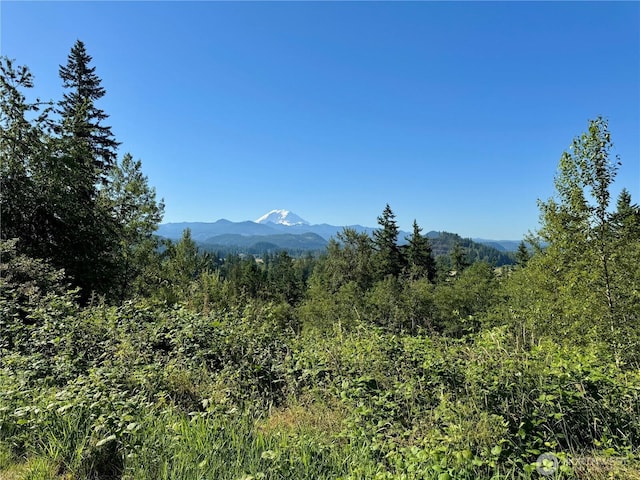 27435 SE 402nd St, Enumclaw, WA 98022 - photo 2