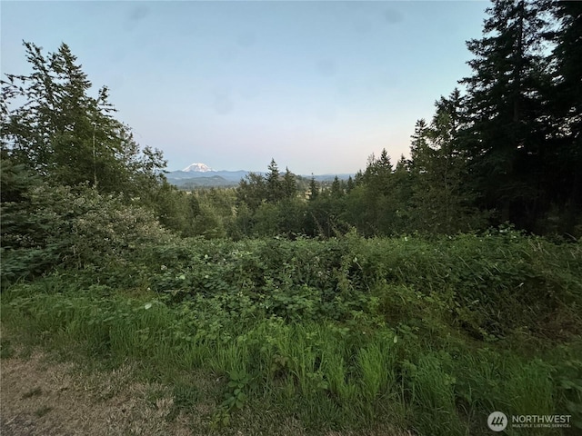 27435 SE 402nd St, Enumclaw, WA 98022 - photo 10