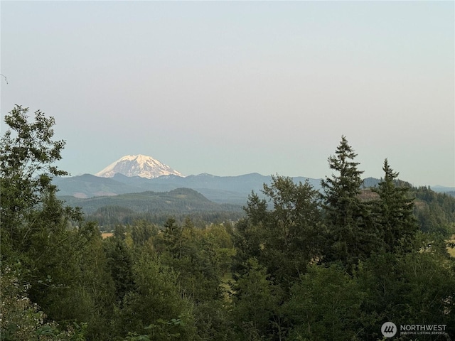 27435 SE 402nd St, Enumclaw, WA 98022 - photo 9