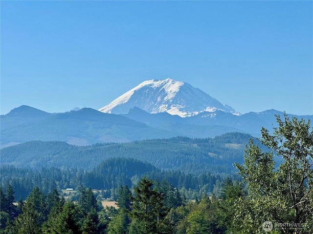 27435 SE 402nd St, Enumclaw, WA 98022 - photo 1