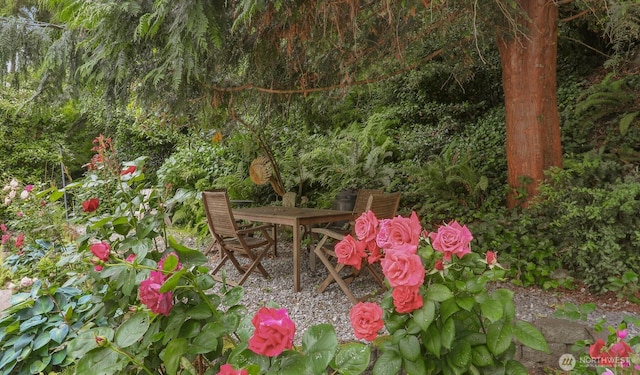 1156 Alki Ave SW Unit 202, Seattle, WA 98116 - view of patio