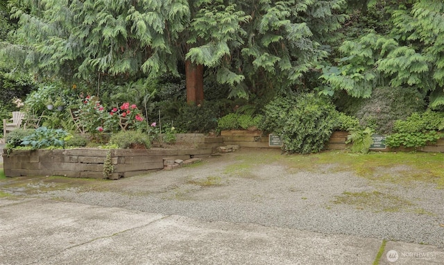 1156 Alki Ave SW Unit 202, Seattle, WA 98116 - view of yard