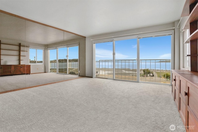1156 Alki Ave SW Unit 202, Seattle, WA 98116 - unfurnished sunroom featuring a water view