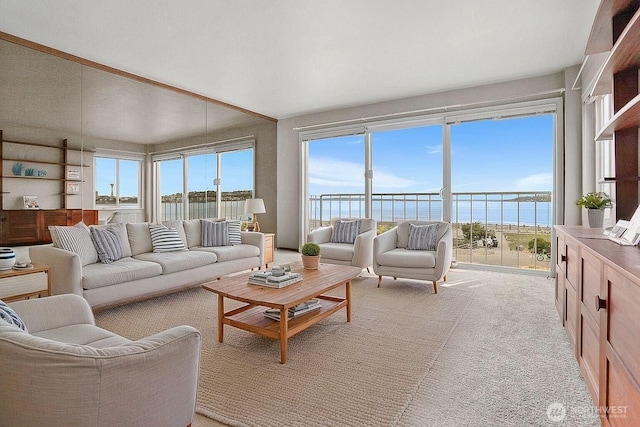 1156 Alki Ave SW Unit 202, Seattle, WA 98116 - living area featuring vaulted ceiling and light carpet