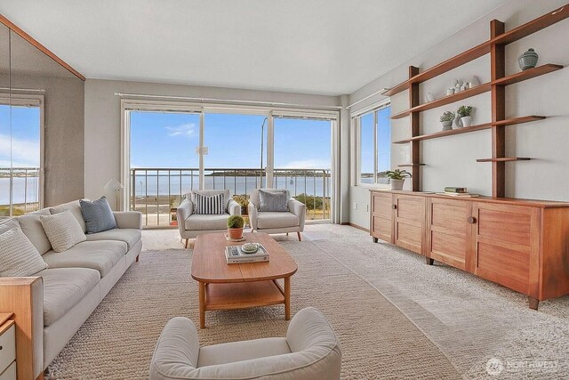 1156 Alki Ave SW Unit 202, Seattle, WA 98116 - living area featuring light colored carpet and a water view