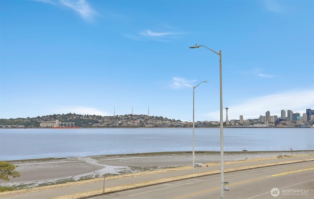 1156 Alki Ave SW Unit 202, Seattle, WA 98116 - water view