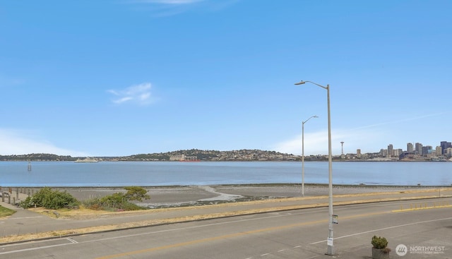 1156 Alki Ave SW Unit 202, Seattle, WA 98116 - water view