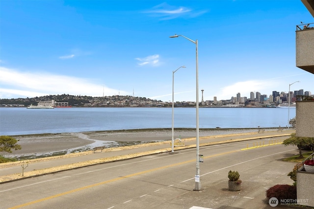 1156 Alki Ave SW Unit 202, Seattle, WA 98116 - water view