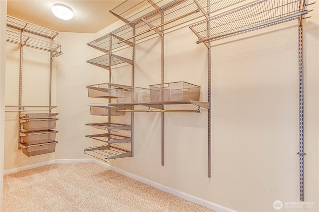 1601 Maiden Ln Unit A102, Wenatchee, WA 98801 - walk in closet featuring carpet flooring
