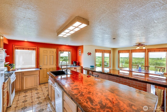 401 Wind Sand Ln W, Grayland, WA 98547 - photo 6