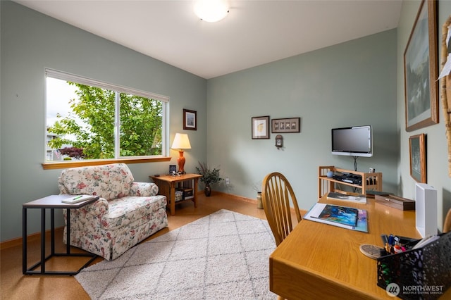 3205 Shelly Hill Rd, Mount Vernon, WA 98274 - home office featuring baseboards and carpet flooring