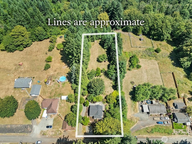 608 NE 2nd St, Winlock, WA 98596 - photo 5