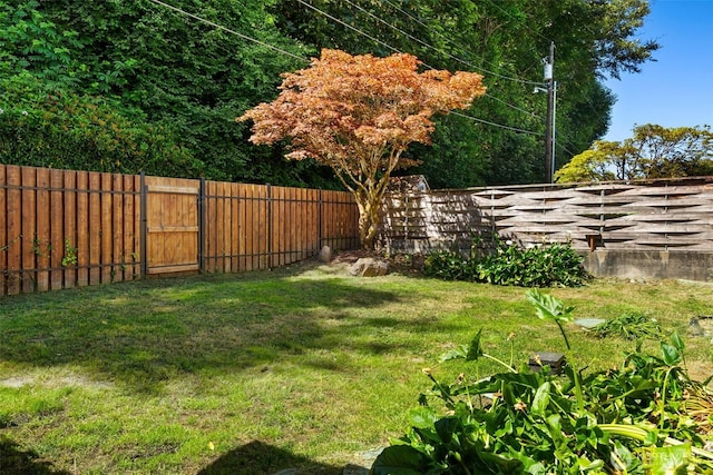 10843 Point Vashon Dr SW, Vashon, WA 98070 - view of fenced backyard
