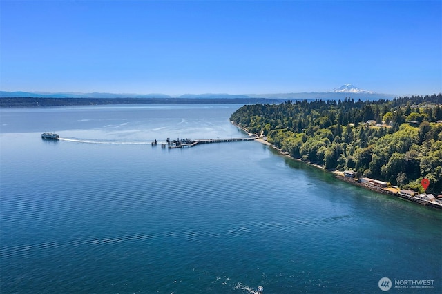 10843 Point Vashon Dr SW, Vashon, WA 98070 - water view with mountains
