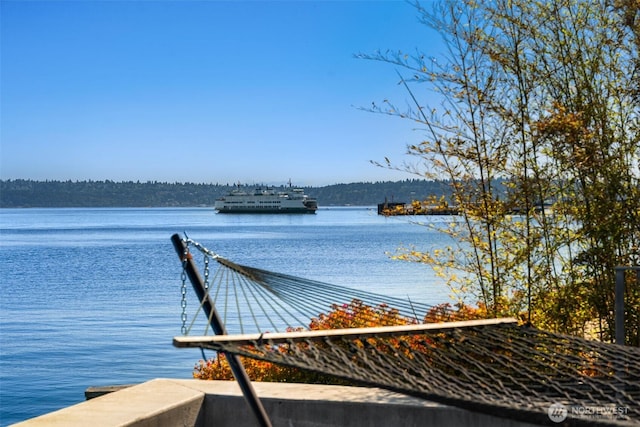 10843 Point Vashon Dr SW, Vashon, WA 98070 - dock area with a water view