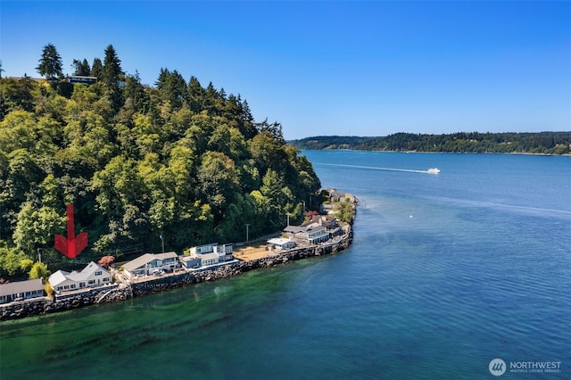 10843 Point Vashon Dr SW, Vashon, WA 98070 - water view featuring a forest
