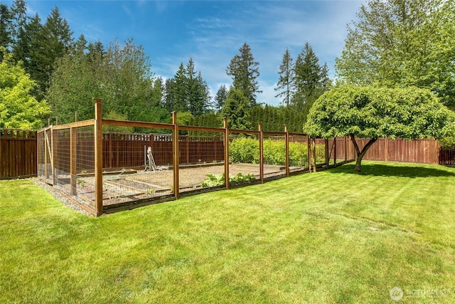 1323 216th Ave NE, Sammamish, WA 98074 - fenced backyard with a garden