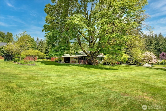 1323 216th Ave NE, Sammamish, WA 98074 - view of grassy yard