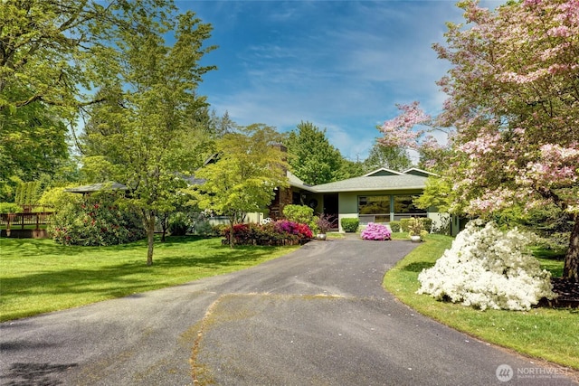 1323 216th Ave NE, Sammamish, WA 98074 - view of front of home with a front lawn
