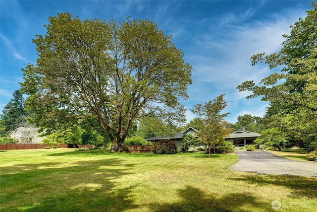 1323 216th Ave NE, Sammamish, WA 98074 - view of yard with driveway and view of scattered trees