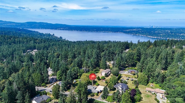 1323 216th Ave NE, Sammamish, WA 98074 - aerial view of property and surrounding area featuring a forest and a large body of water