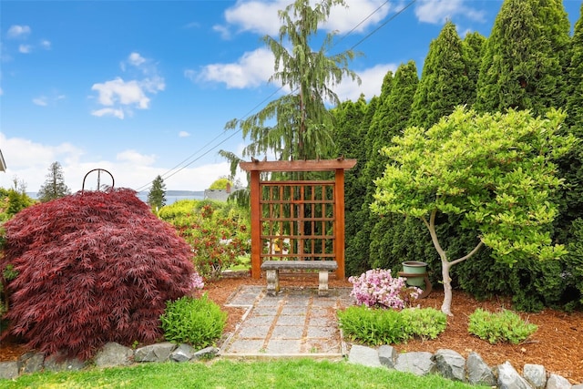 3706 Upland Ave, Everett, WA 98203 - view of yard