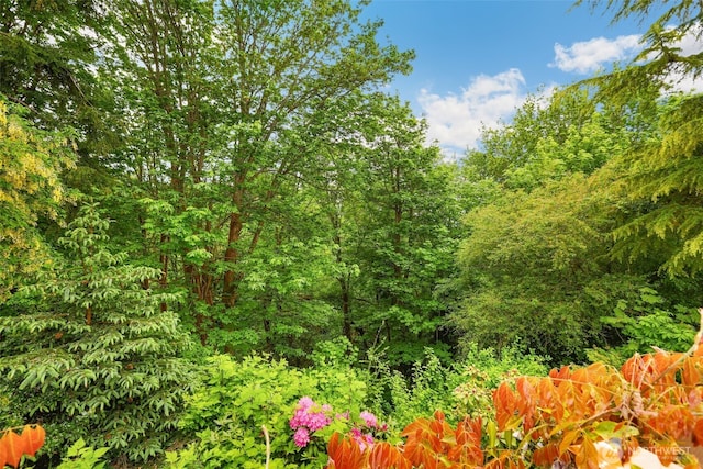3706 Upland Ave, Everett, WA 98203 - view of tree filled area