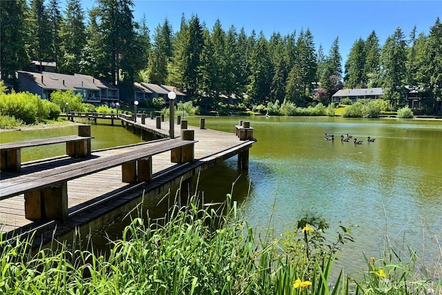 13932 NE 60th St Unit 150, Redmond, WA 98052 - dock area featuring a water view