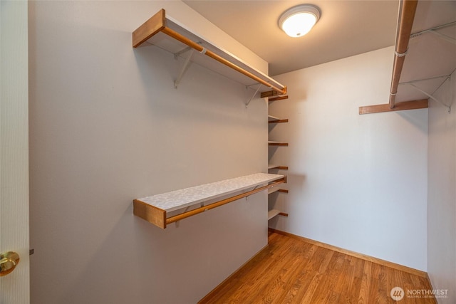 2460 Pine Dr, Ferndale, WA 98248 - walk in closet with light wood-style floors