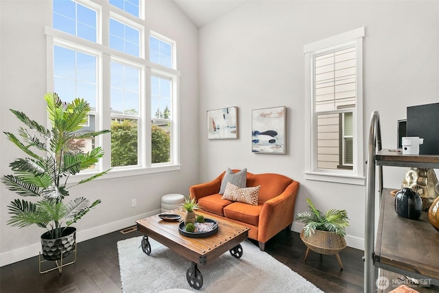 305 Field Pl SE, Renton, WA 98059 - living area with wood finished floors and lofted ceiling