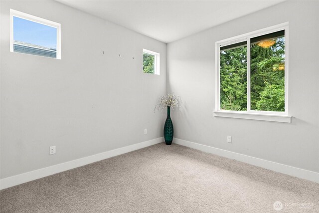 305 Field Pl SE, Renton, WA 98059 - unfurnished room with plenty of natural light and carpet