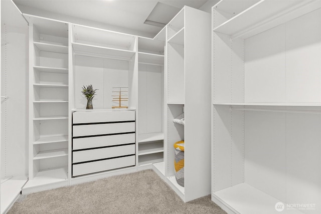 305 Field Pl SE, Renton, WA 98059 - walk in closet with light carpet