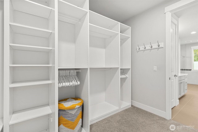 305 Field Pl SE, Renton, WA 98059 - view of spacious closet