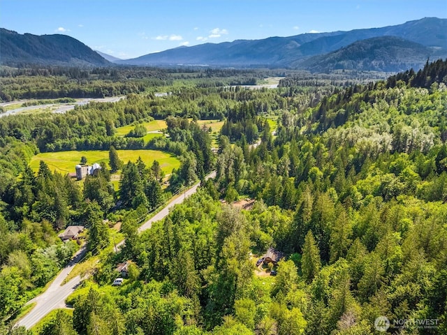 5458 Mt Baker Hwy, Deming, WA 98244 - photo 15