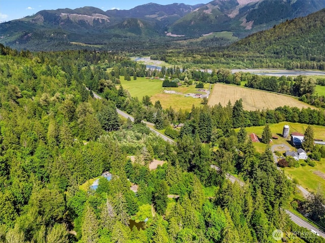 5458 Mt Baker Hwy, Deming, WA 98244 - photo 19