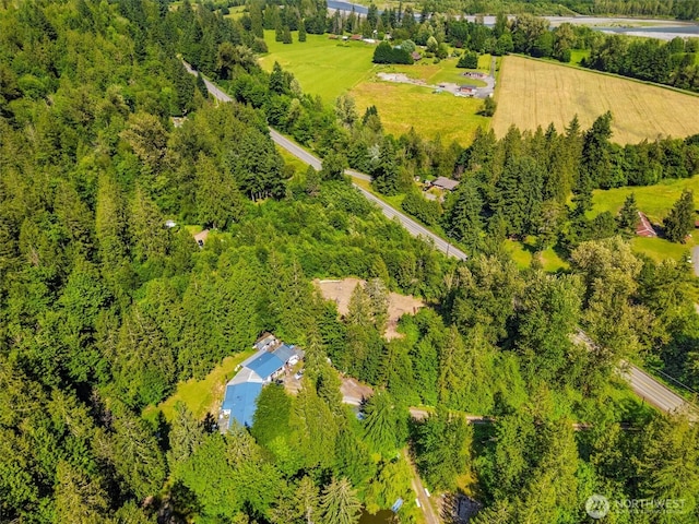 5458 Mt Baker Hwy, Deming, WA 98244 - photo 22