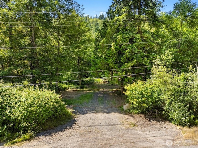 5458 Mt Baker Hwy, Deming, WA 98244 - photo 3