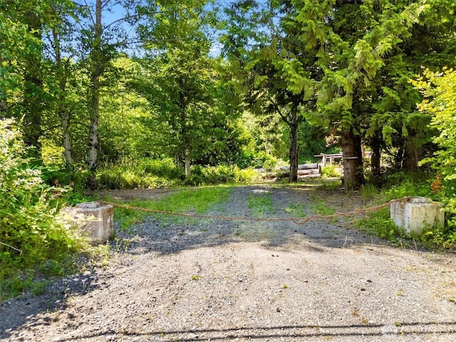 5458 Mt Baker Hwy, Deming, WA 98244 - photo 4