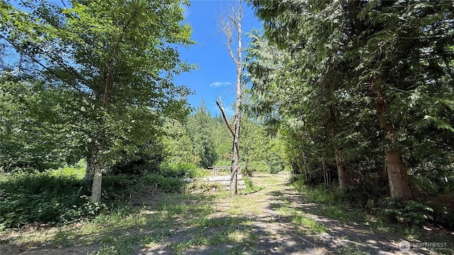 5458 Mt Baker Hwy, Deming, WA 98244 - photo 6