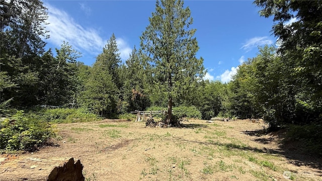 5458 Mt Baker Hwy, Deming, WA 98244 - photo 7