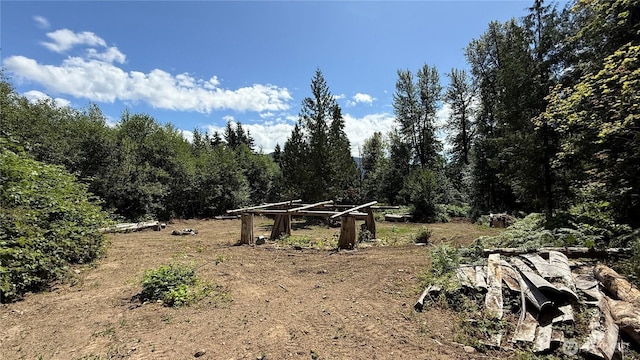 5458 Mt Baker Hwy, Deming, WA 98244 - photo 10